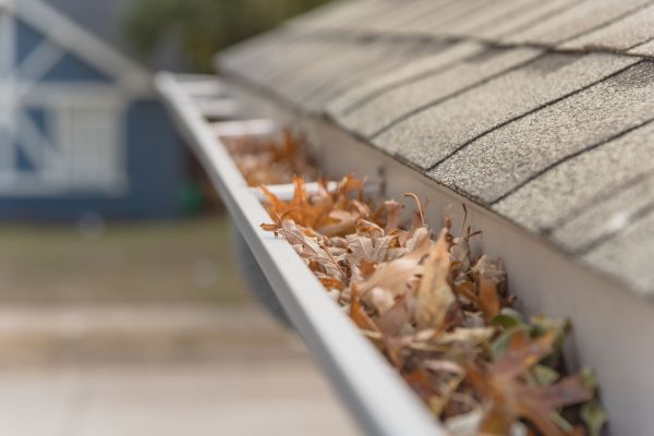 Leaf Barrier Installation in Topeka